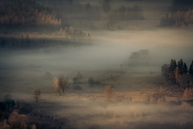 KFK Wabrzych  - 1 miejsce w konkursie Fotografia Miesica