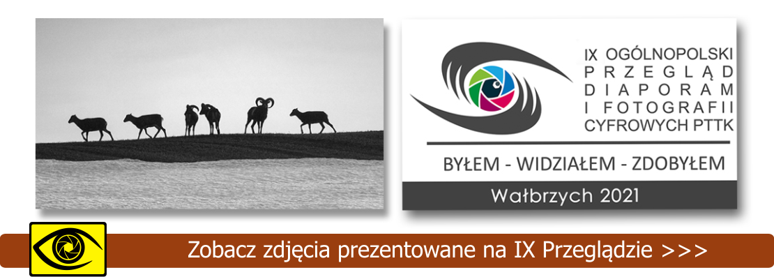 IX Ogólnopolski Przegląd Diaporam 