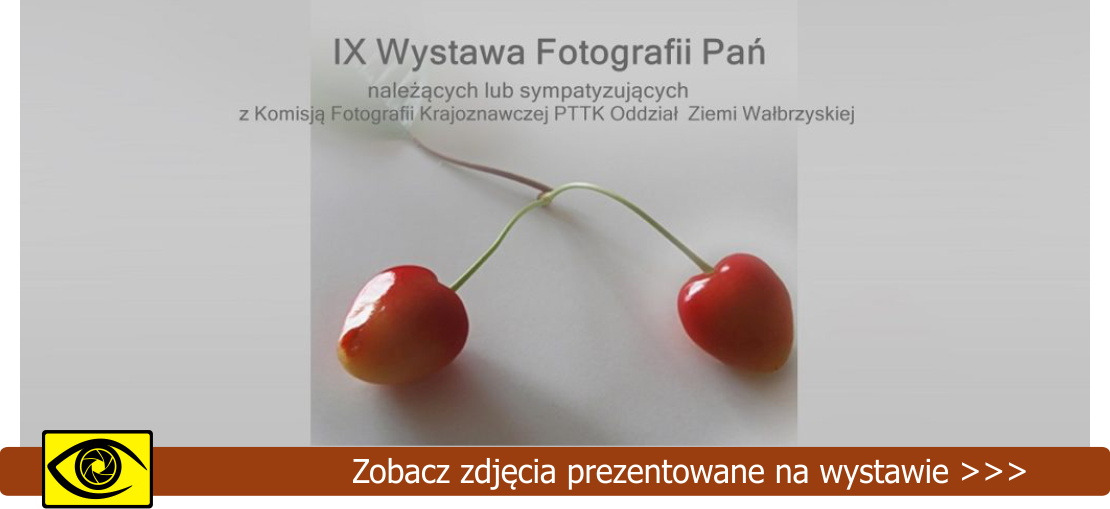 „Ona i on”  IX wystawa fotografii Pań