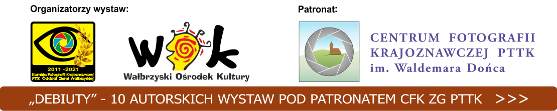 Wystawy"Debiuty"