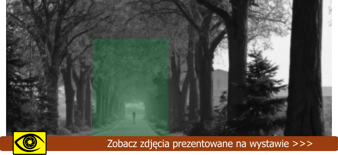 Wernisaż wystawy Jadwigi Łozińskiej pt. „Idąc swoją drogą”
