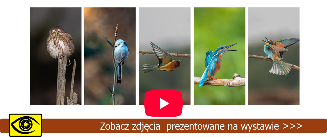 wystawa Eweliny i Wojciecha Świeściaków pt. „Symfonia o poranku”